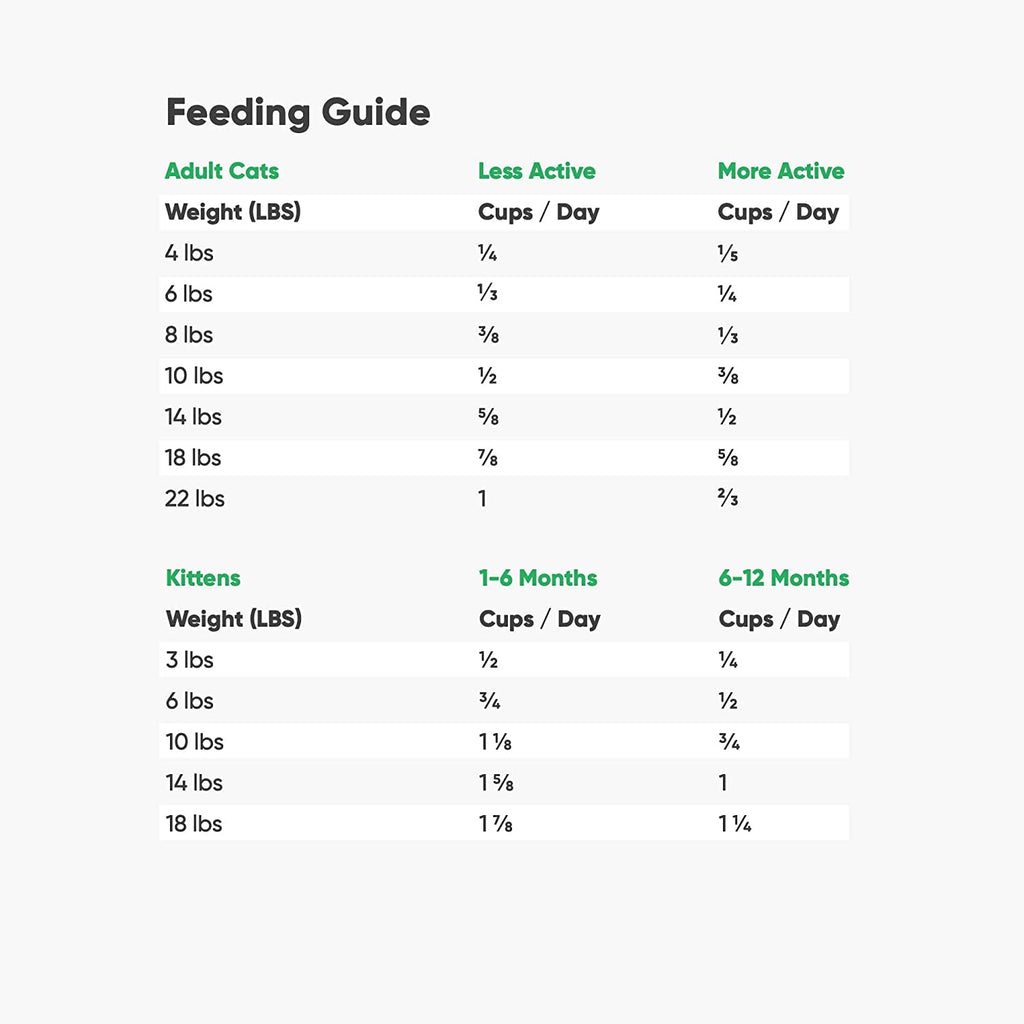 Grain-Free Dry Cat Food with Turkey & Chicken, 2 lbs A685915
