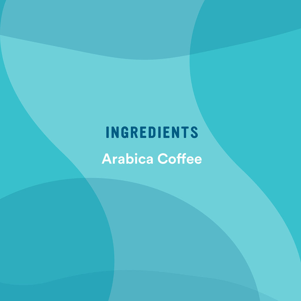 Instant Coffee 100% Arabica 7 Ounce Pack of 6 L541