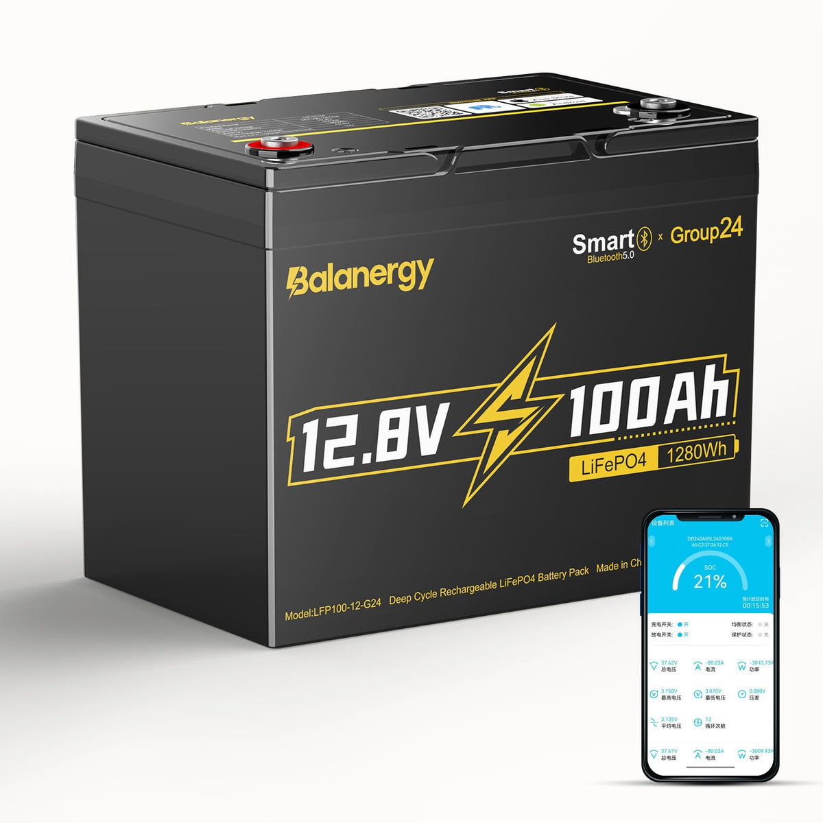 12V 100Ah LiFePO4 Lithium Battery with 100A BMS O6751