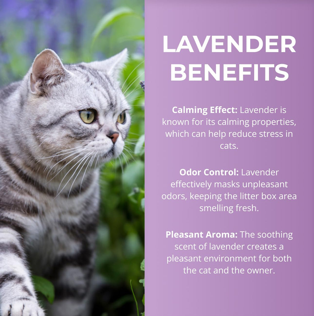 Lavender Scented Diatomaceous Earth 8.8 lb V433