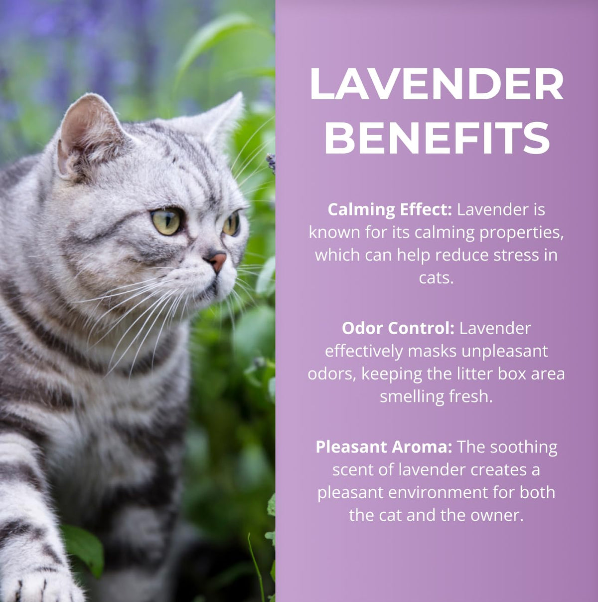 Lavender Scented Diatomaceous Earth 8.8 lb V433