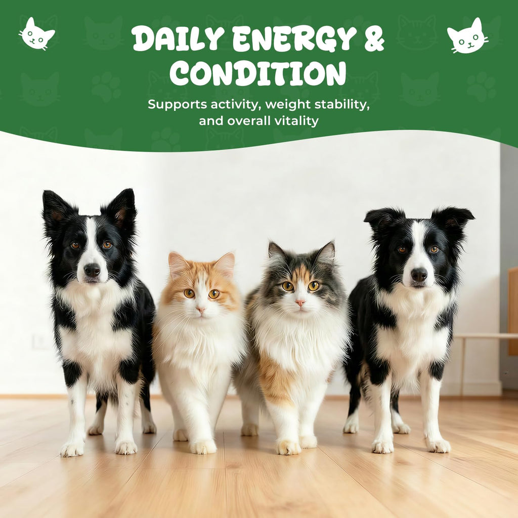 Thyroid Support for Dogs & Cats G70522