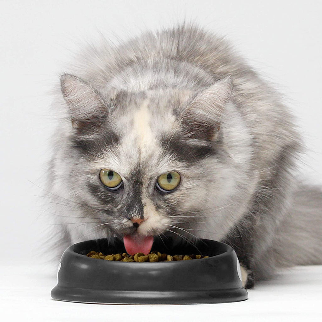 Grain-Free Dry Cat Food with Turkey & Chicken, 2 lbs A685915