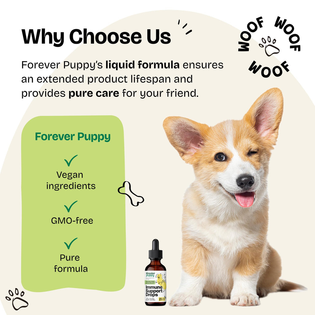 Elderberry Echinacea Dog Immune Support 2 oz U129