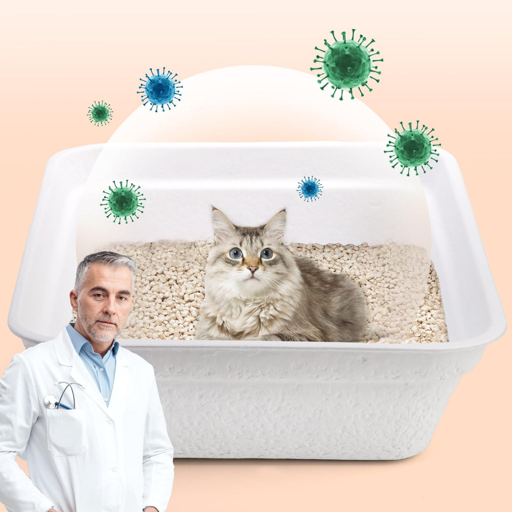 8 Pack White Cardboard Disposable Cat Litter Boxes D364374