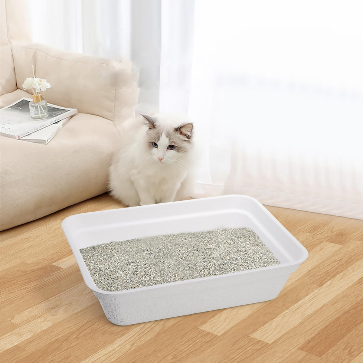 8 Pack White Cardboard Disposable Cat Litter Boxes D364374