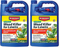 Southern Weed Killer for Lawns 1 Gal Pack of 2 U37029