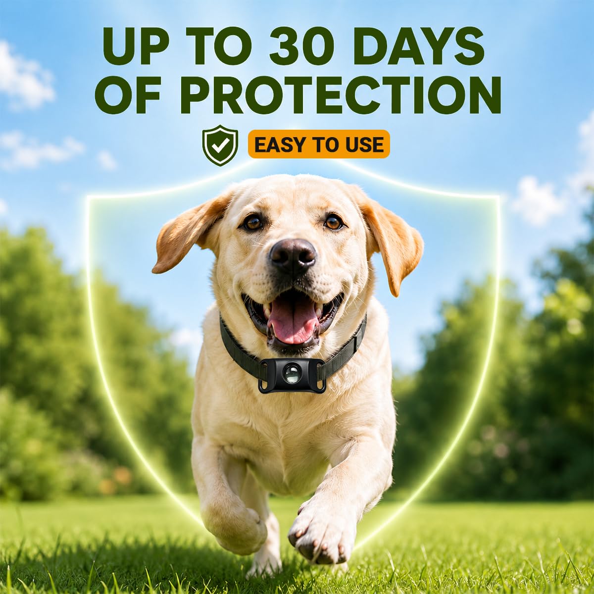 Flea and Tick Prevention Pendant for Dogs S5119