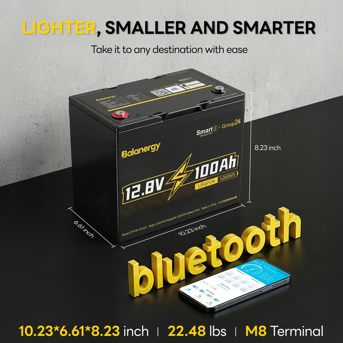 12V 100Ah LiFePO4 Lithium Battery with 100A BMS O6751