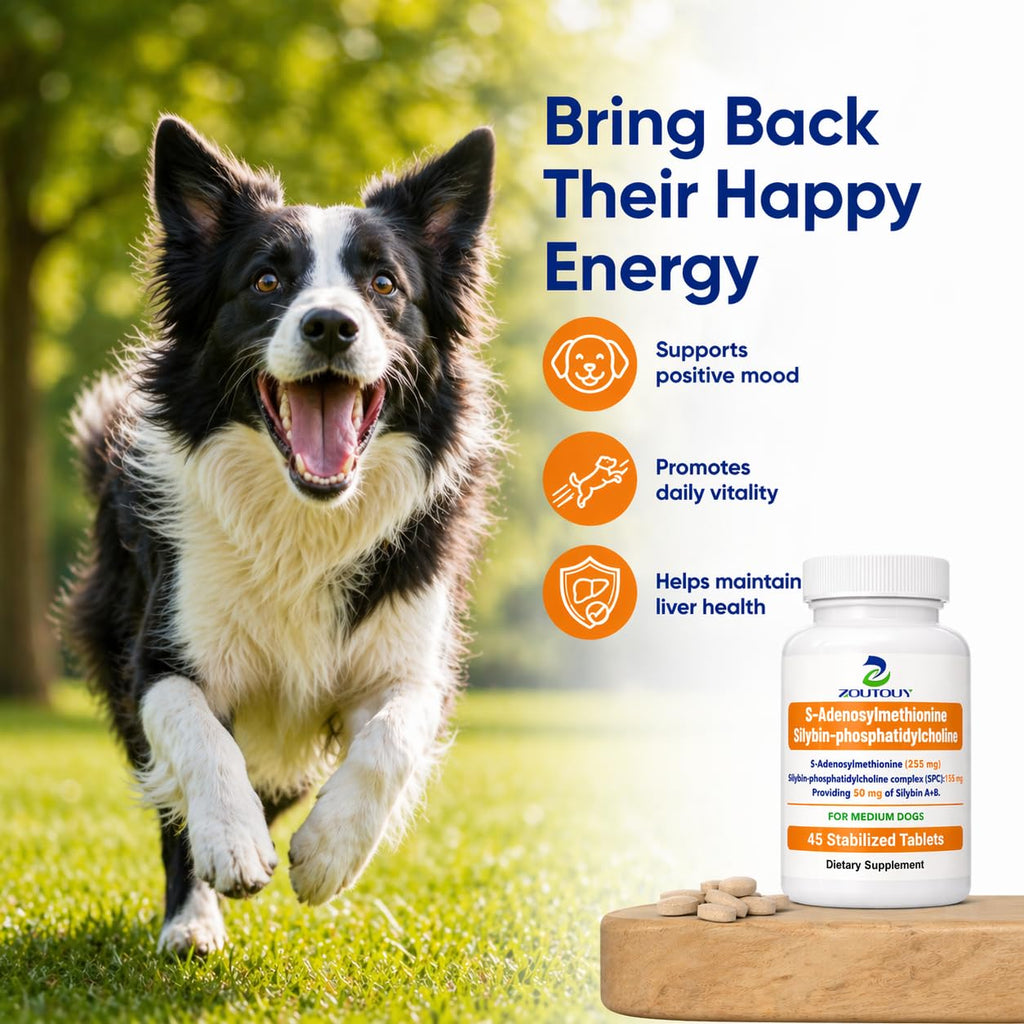 Silybin Tablets for Dogs T6701