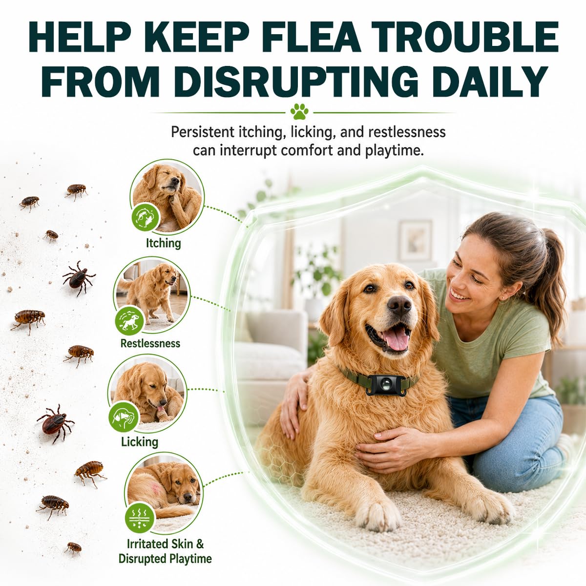Flea and Tick Prevention Pendant for Dogs S5119