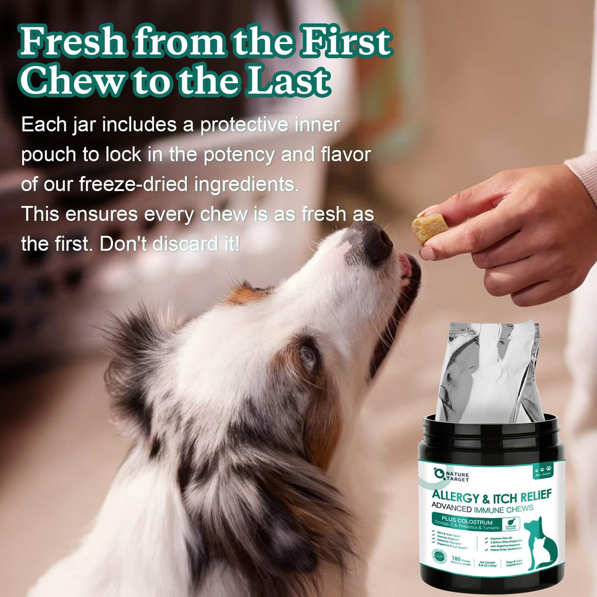 Dog Allergy Chews Real Chicken Freeze-Dried Q707682