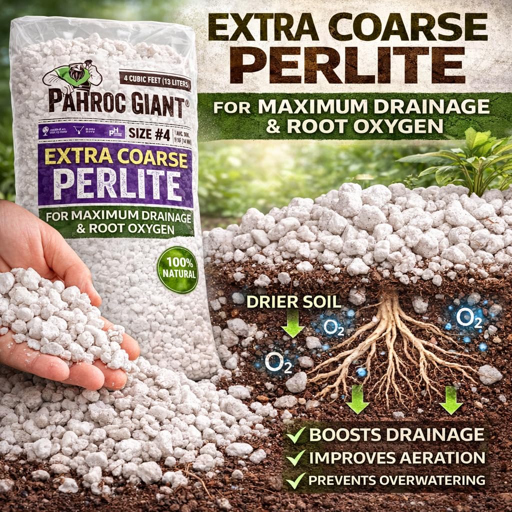 Perlite 4 CF Super Coarse N34242