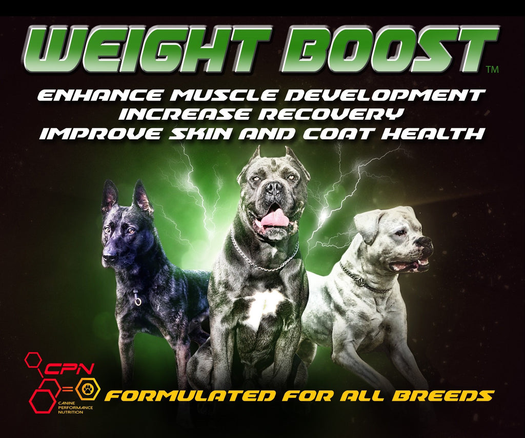 High Calorie Dog Food Supplement 6lb M68844