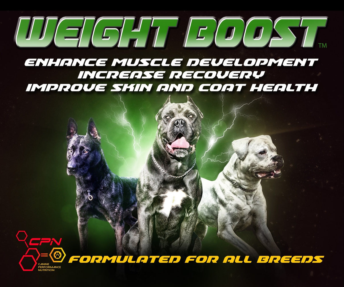 High Calorie Dog Food Supplement 6lb M68844