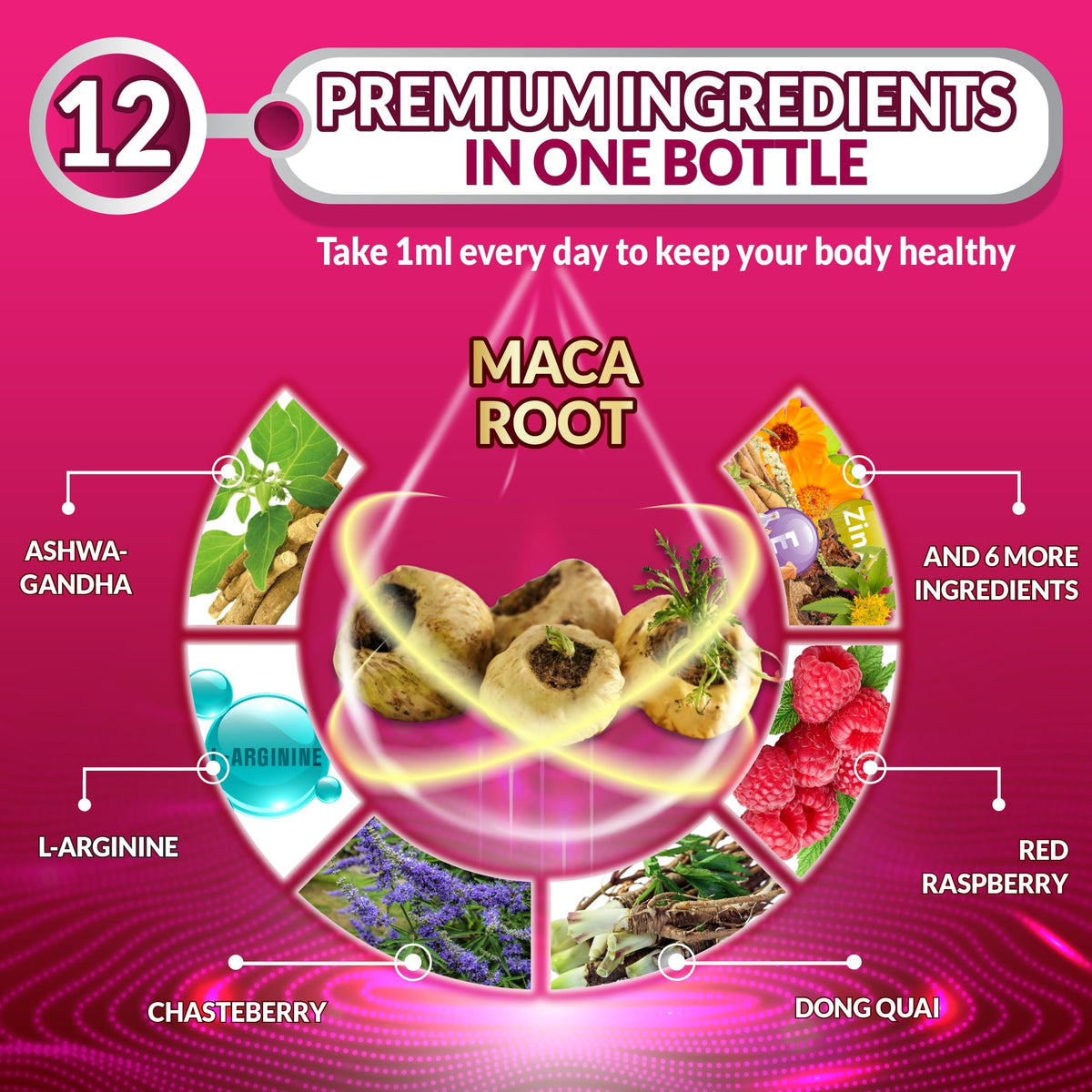 Maca Root Liquid Drops with Ashwagandha 1 Fl Oz G4033