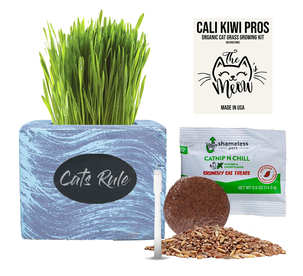 Organic Wheatgrass Seed & Soil Cat Grass Kit K738581