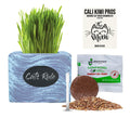 Organic Wheatgrass Seed & Soil Cat Grass Kit K738581