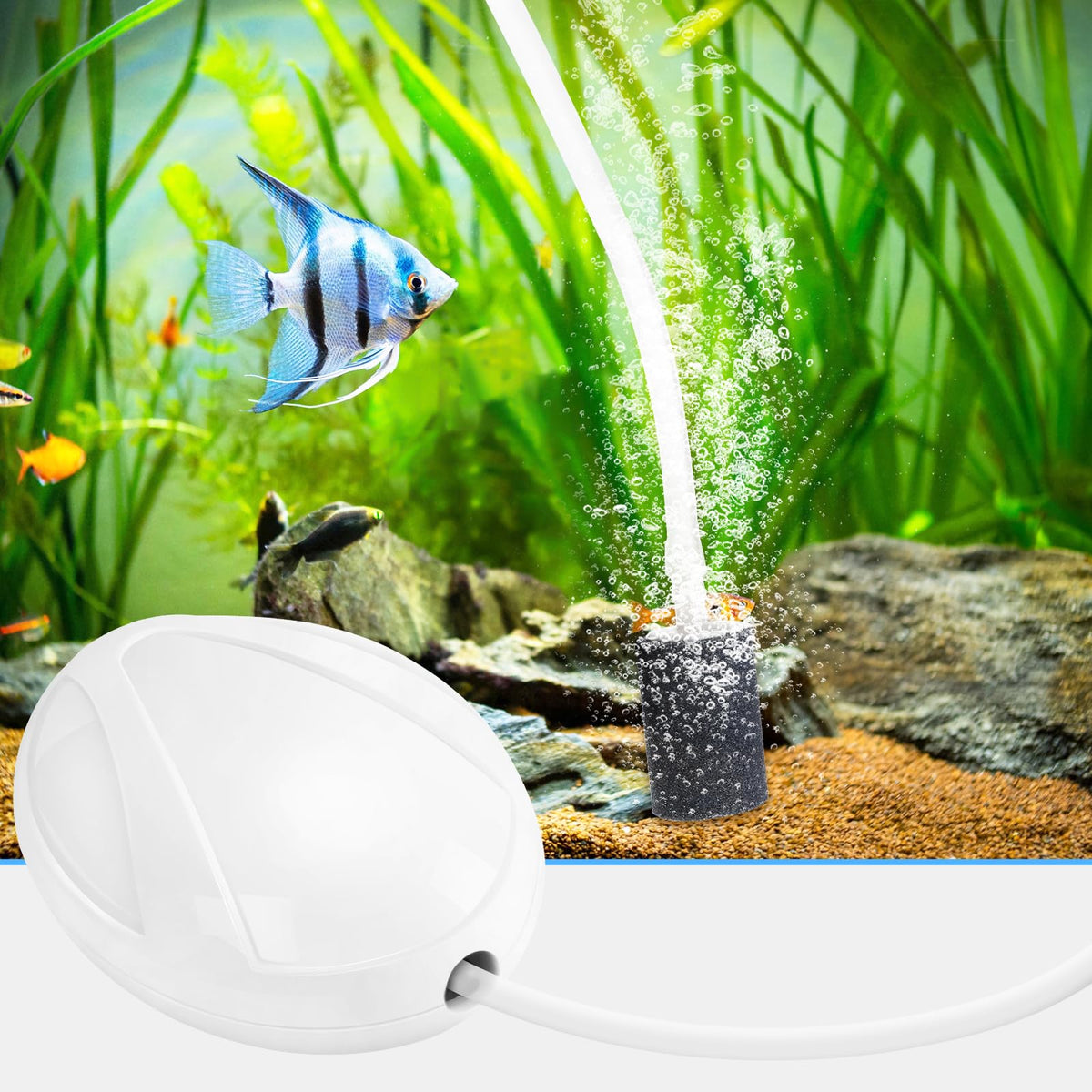 Aquarium Air Pump with Stones, Airline Tubing, Check Valves D7283
