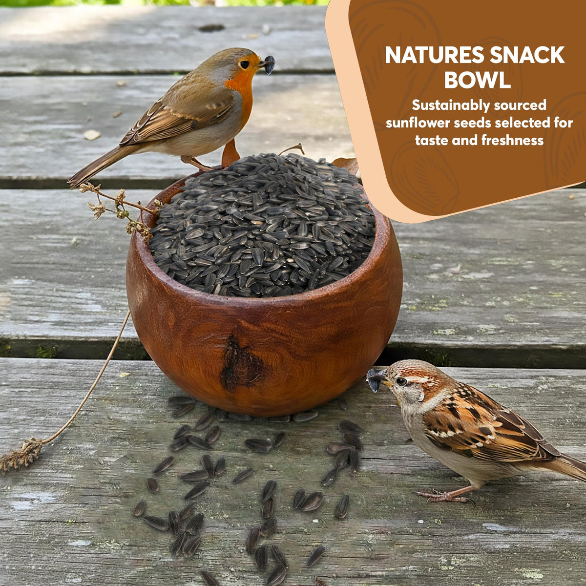 Black Oil Sunflower Seeds for Birds J63910