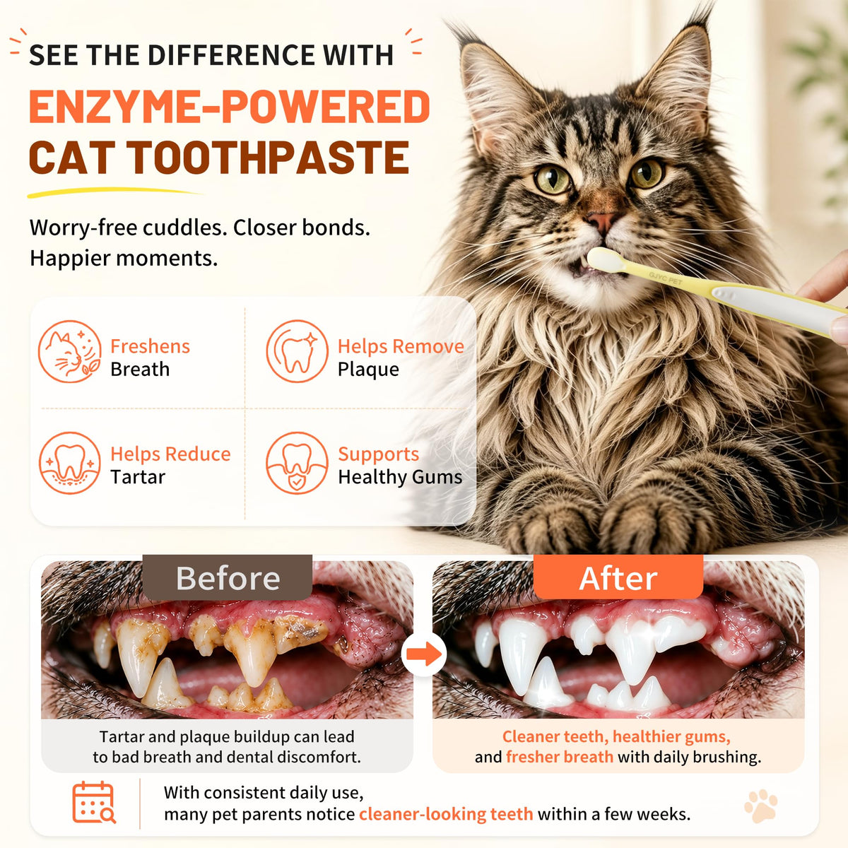 55g Roasted Chicken Enzymatic Cat Tooth Brushing Kit with Soft Bristles Toothbrush & Finger Brush F799723