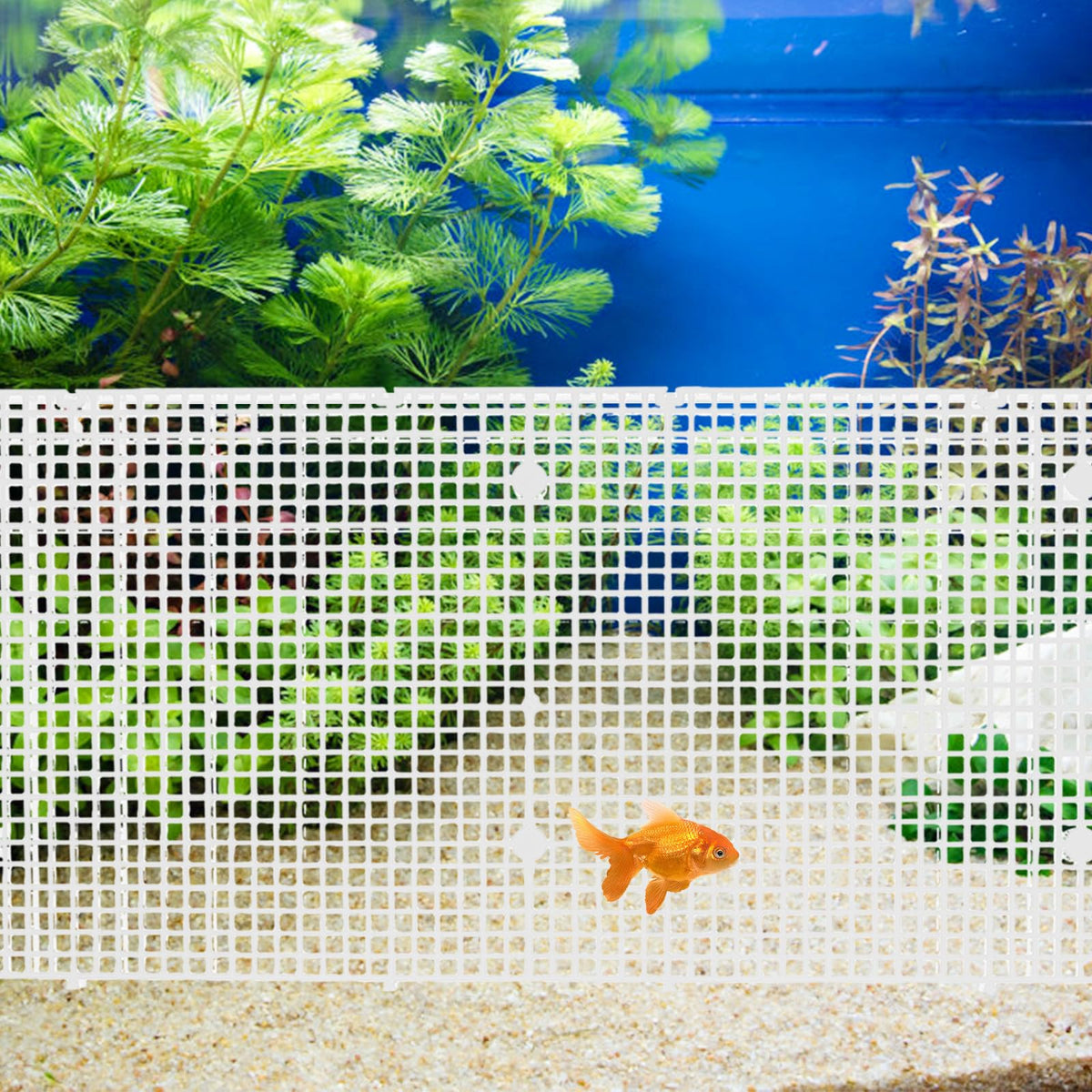 4pcs Cuttable Plastic Aquarium Tank Dividers with Suction Cups I7369