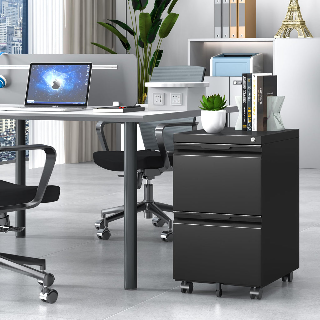 2 Drawer Black File Cabinet with Lock S685687