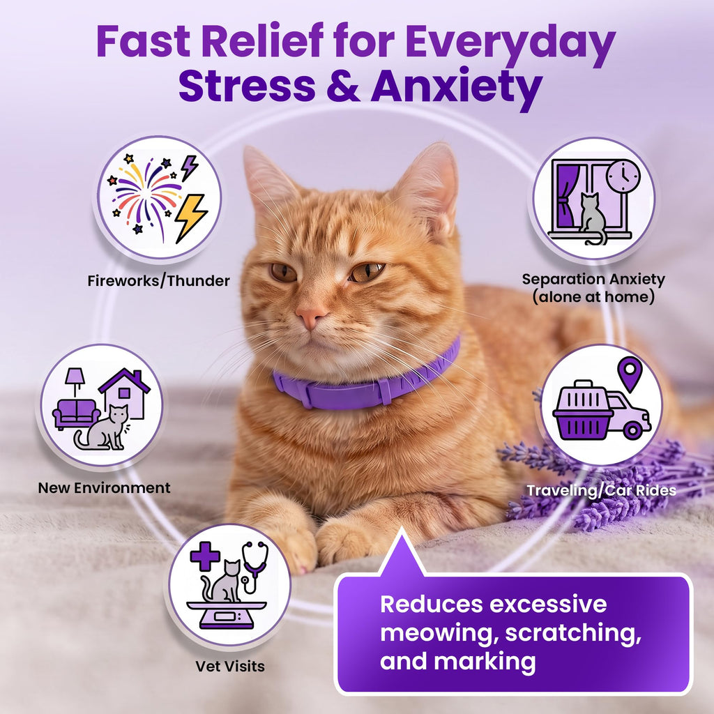 4 Pack Adjustable Calming Collar for Cats B946