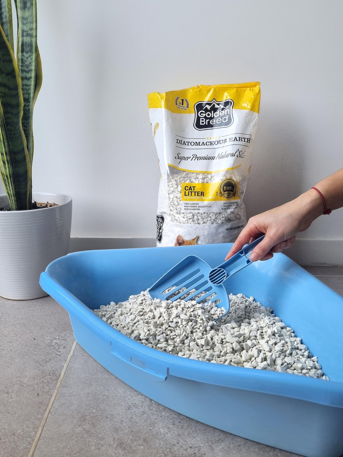 Lavender Scented Diatomaceous Earth 8.8 lb V433