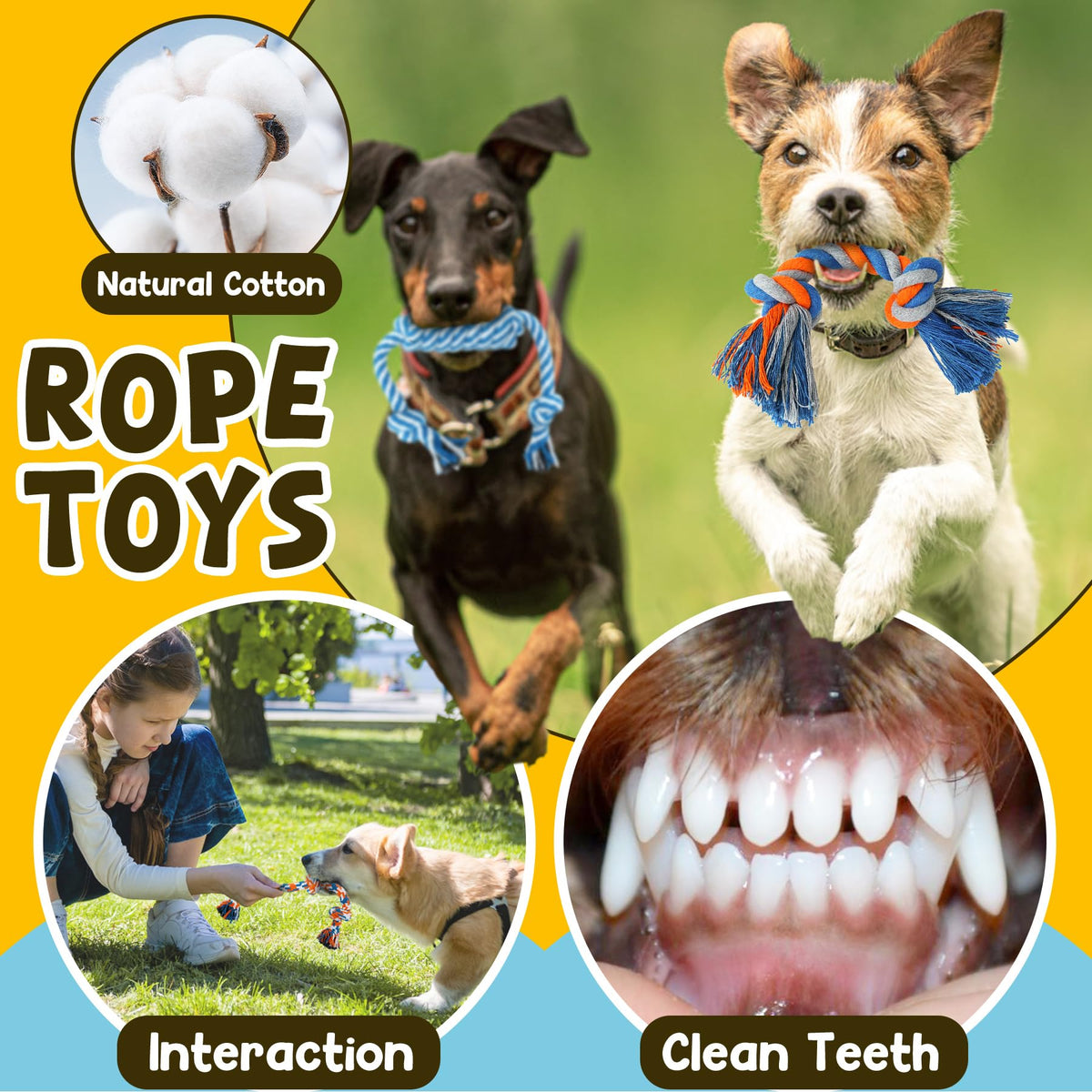 9 Pack Puppy Chew Toys with Rope Y331