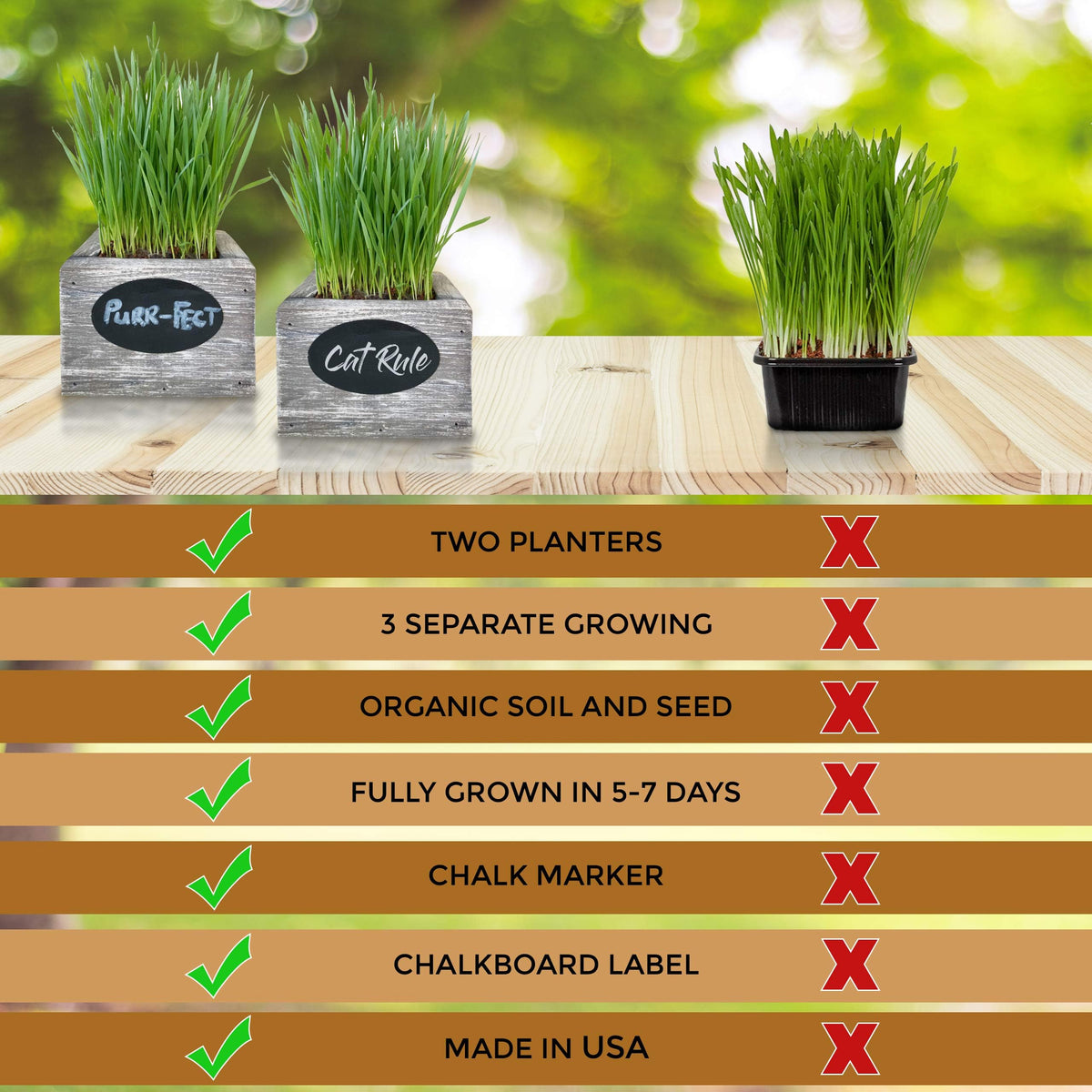 Organic Wheatgrass Seed & Soil Cat Grass Kit K738581