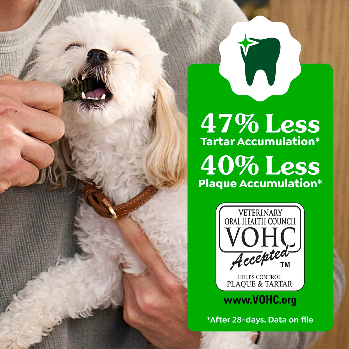 Natural Dental Dog Treats Fresh Mint Flavor 12 Count P182