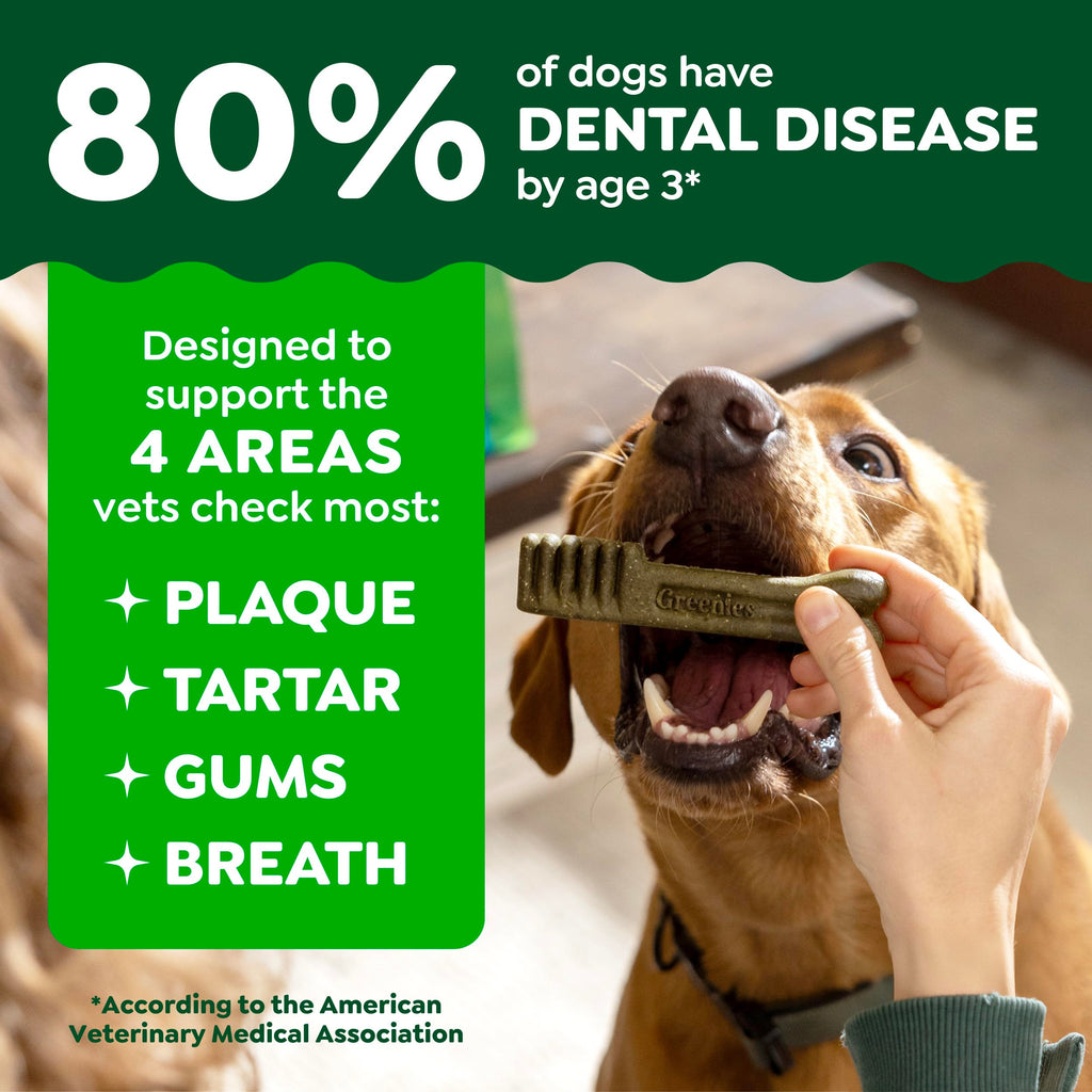 Natural Dental Dog Treats Fresh Mint Flavor 12 Count P182