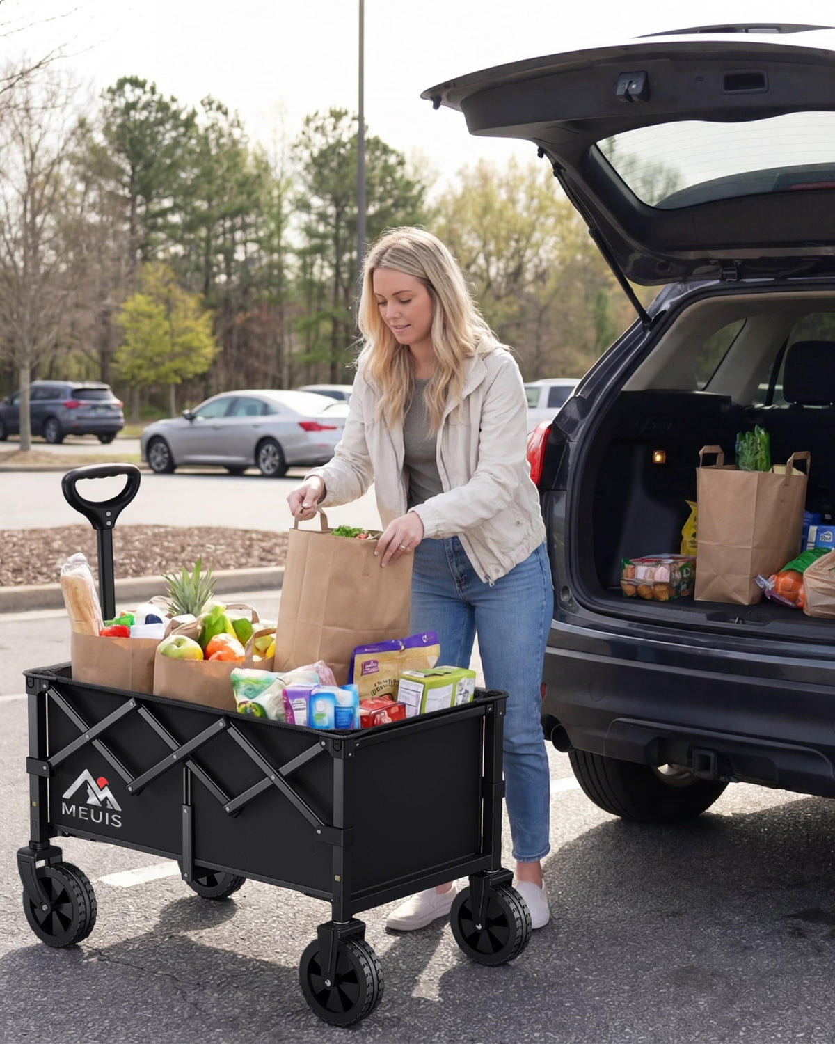 Collapsible Grocery Wagon Cart with Wheels B848