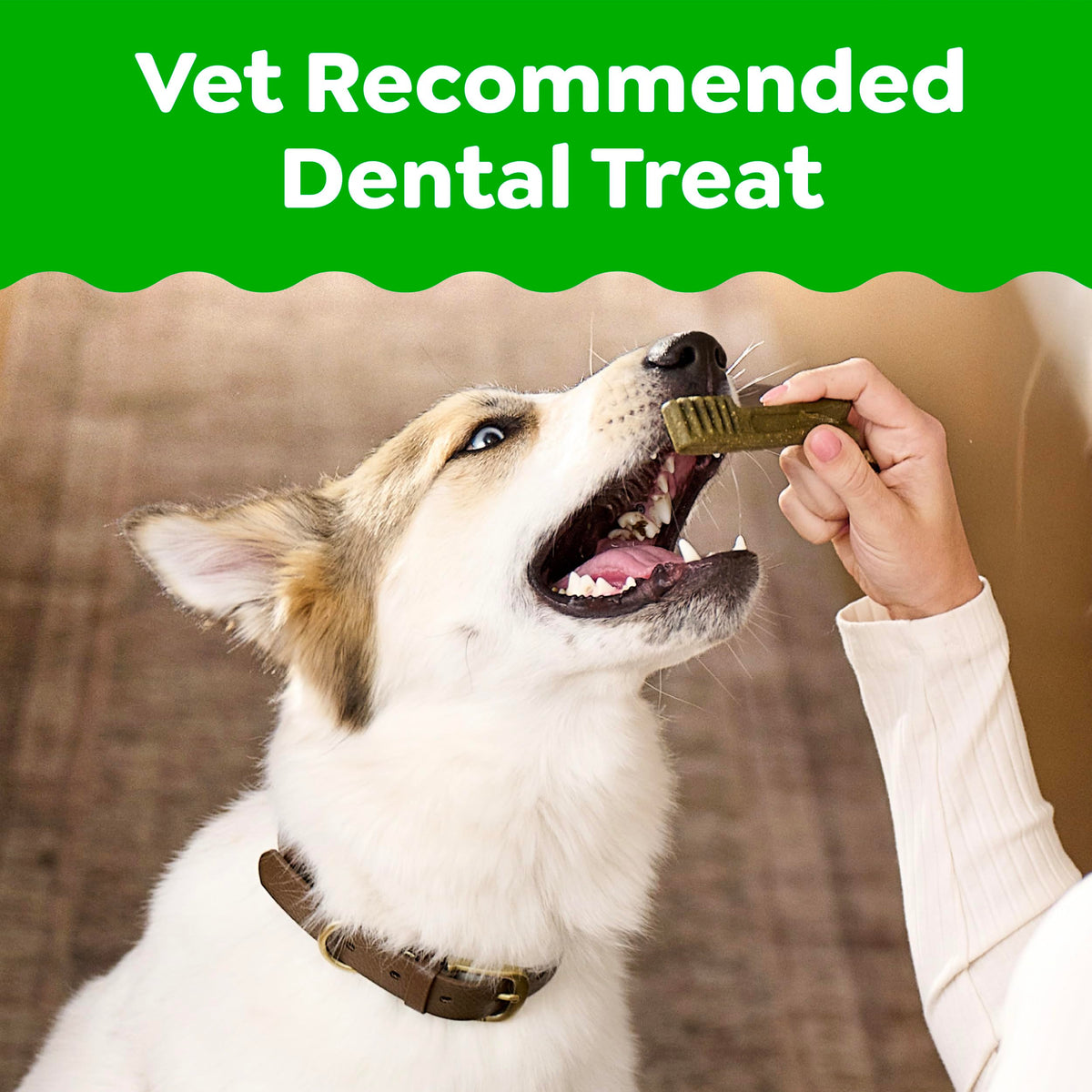 Natural Dental Dog Treats Fresh Mint Flavor 12 Count P182