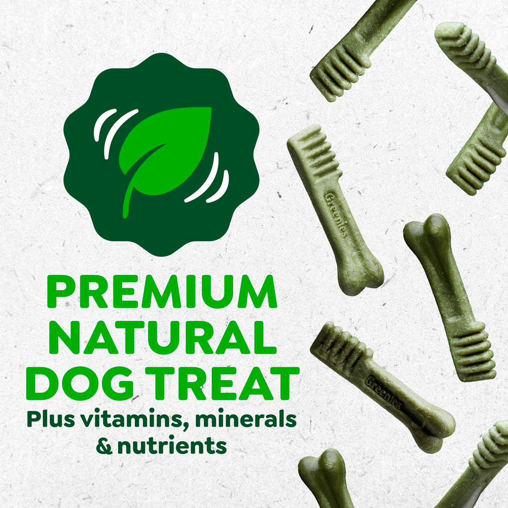 Natural Dental Dog Treats Fresh Mint Flavor 12 Count P182