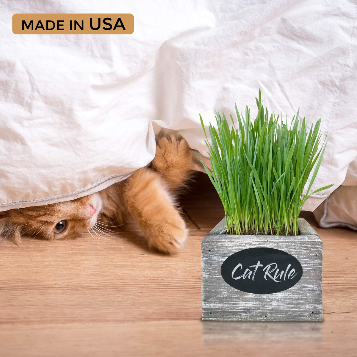 Organic Wheatgrass Seed & Soil Cat Grass Kit K738581