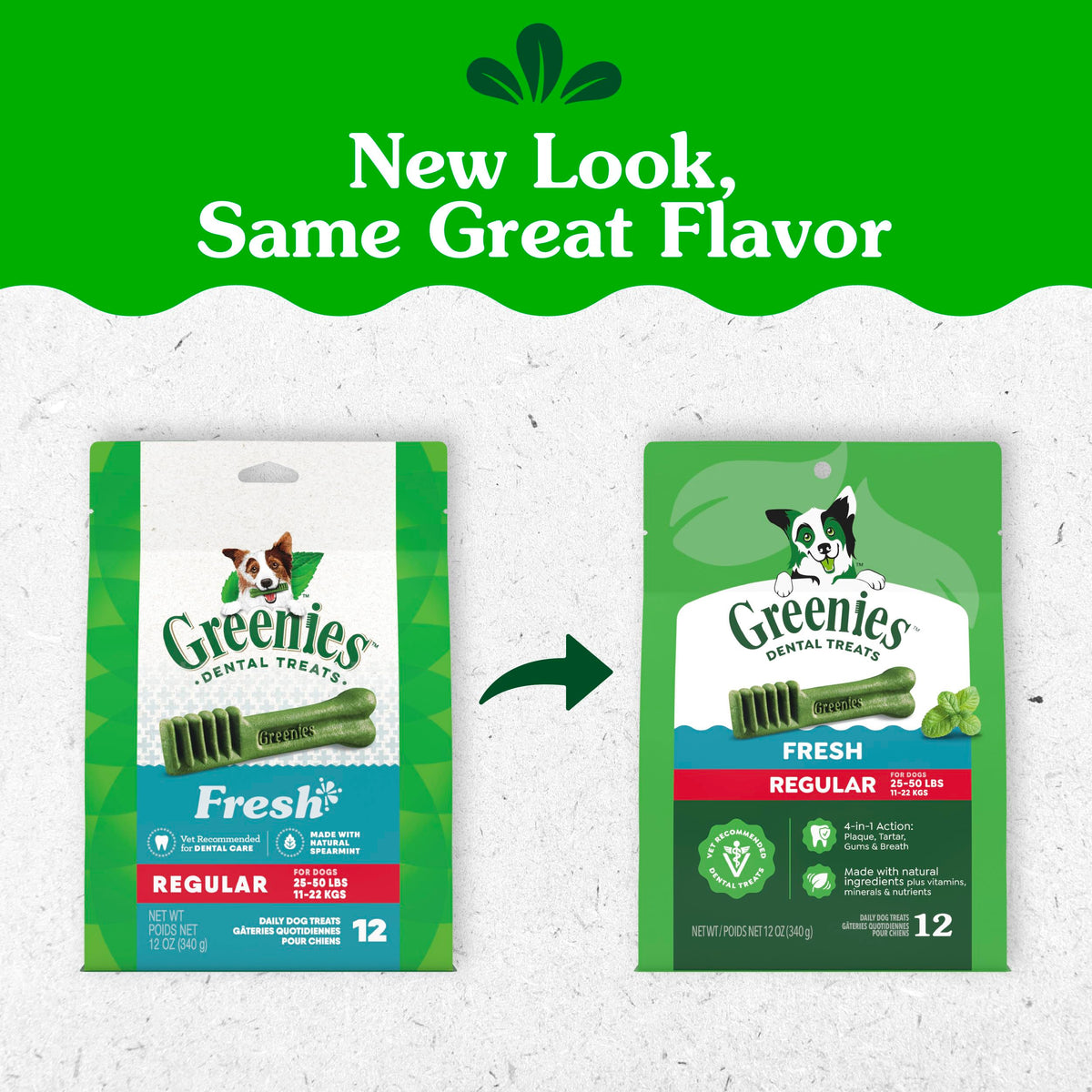 Natural Dental Dog Treats Fresh Mint Flavor 12 Count P182