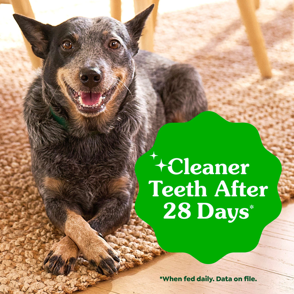 Natural Dental Dog Treats Fresh Mint Flavor 12 Count P182