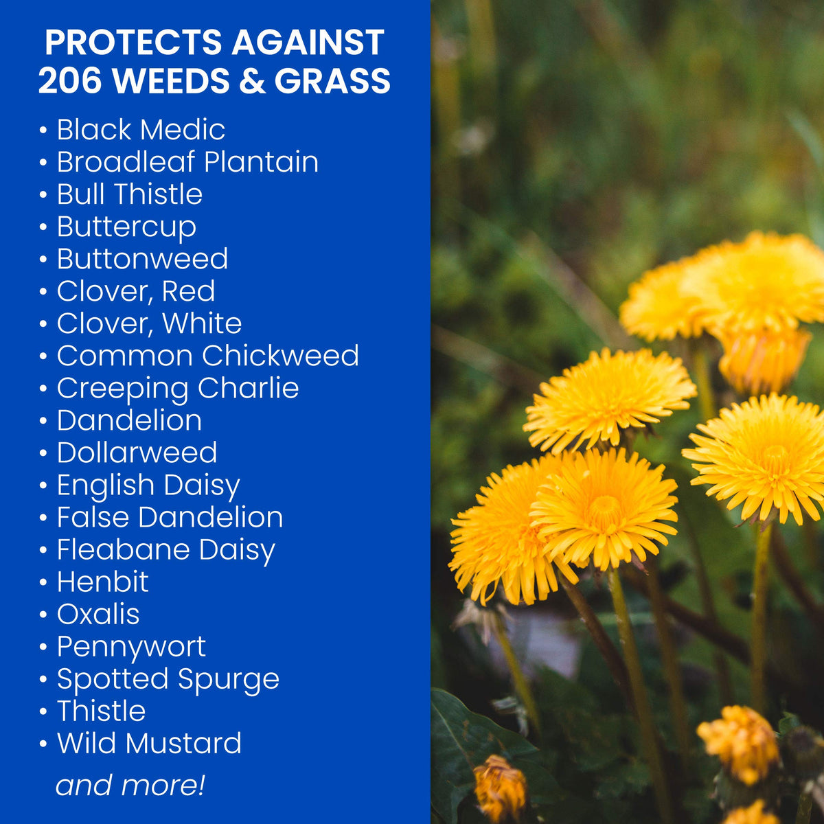 Southern Weed Killer for Lawns 1 Gal Pack of 2 U37029